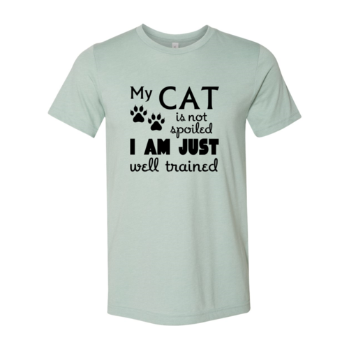 DT0175 My Cat Is Not Spoiled Shirt - ZYTU