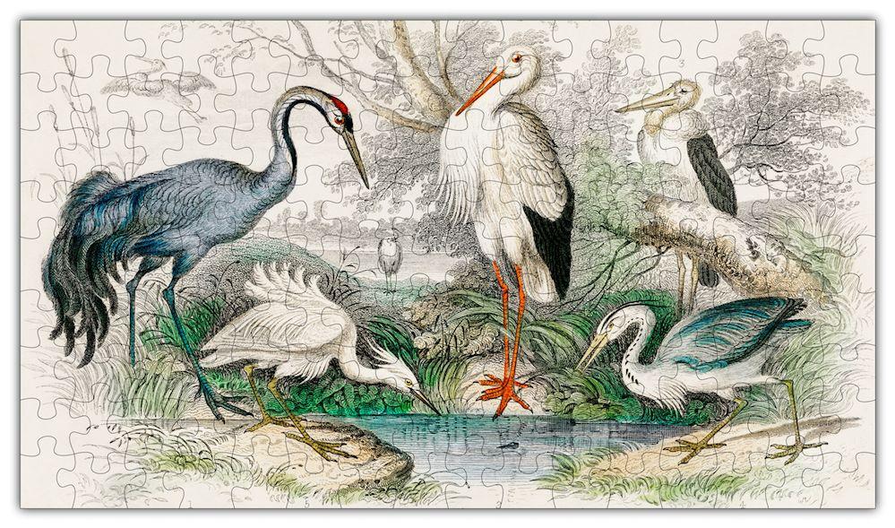 Birds Puzzle #6702