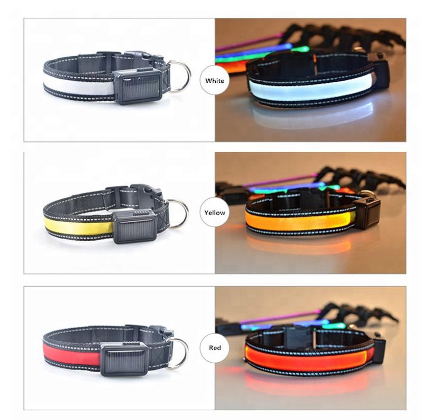 USB and Solar Charge Reflective Led Dog Collar - ZYTU
