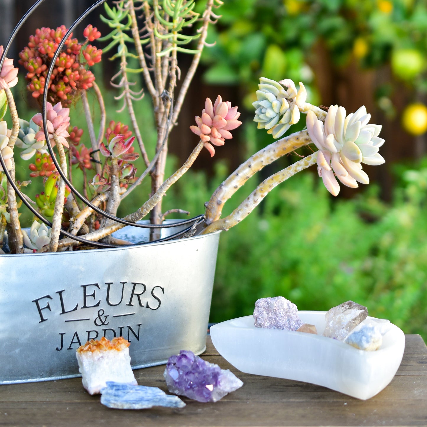 NEW Selenite Moon Bowls - ZYTU