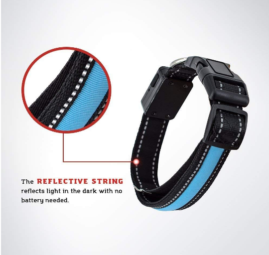 USB and Solar Charge Reflective Led Dog Collar - ZYTU