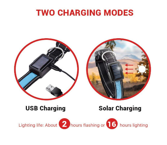 USB and Solar Charge Reflective Led Dog Collar - ZYTU