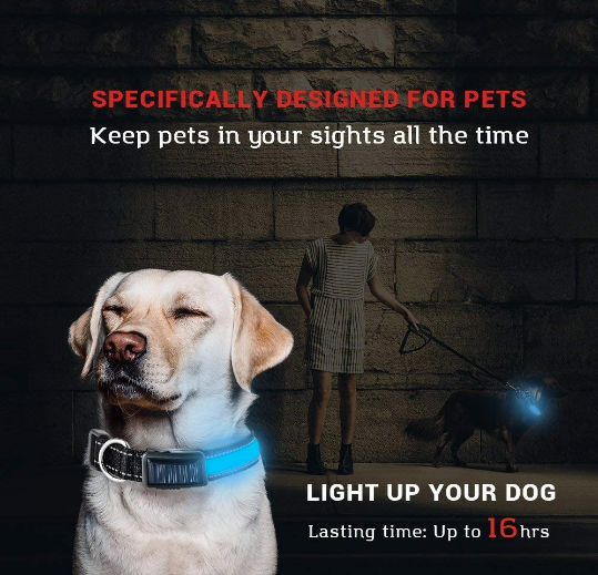 USB and Solar Charge Reflective Led Dog Collar - ZYTU