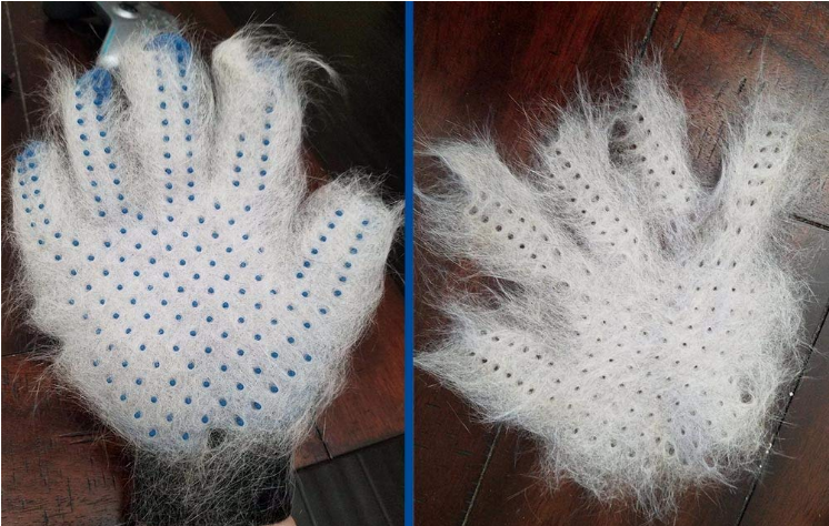 Pet Grooming Glove - ZYTU