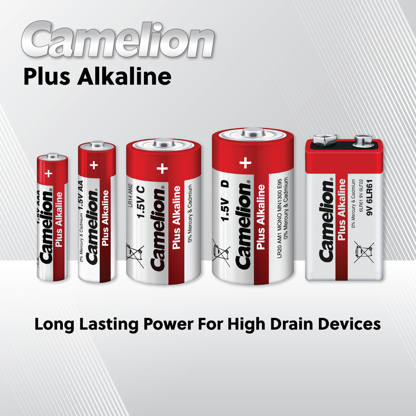 Camelion C Plus Alkaline Plastic Tub of 4