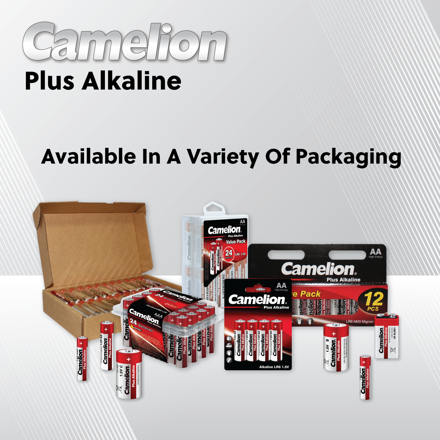 Camelion C Plus Alkaline Plastic Tub of 4