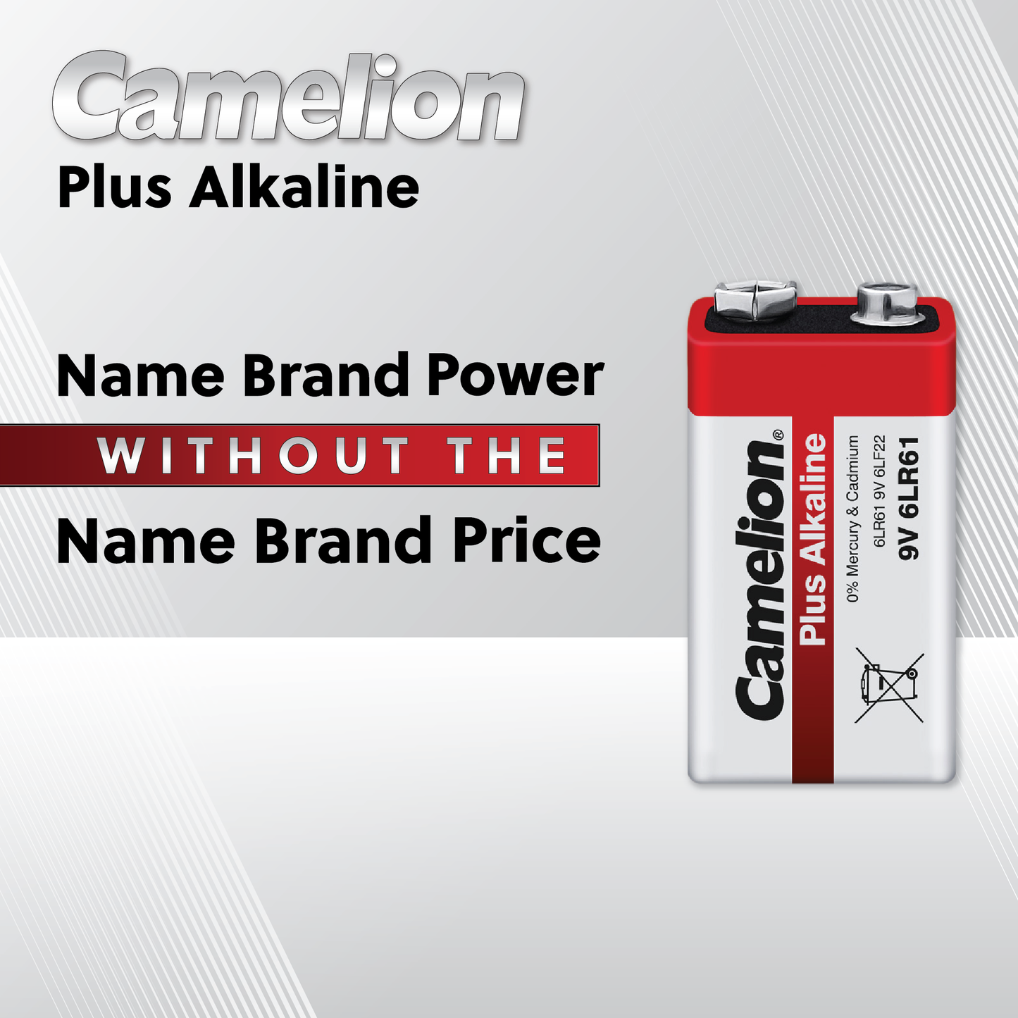 Camelion C Plus Alkaline Plastic Tub of 4