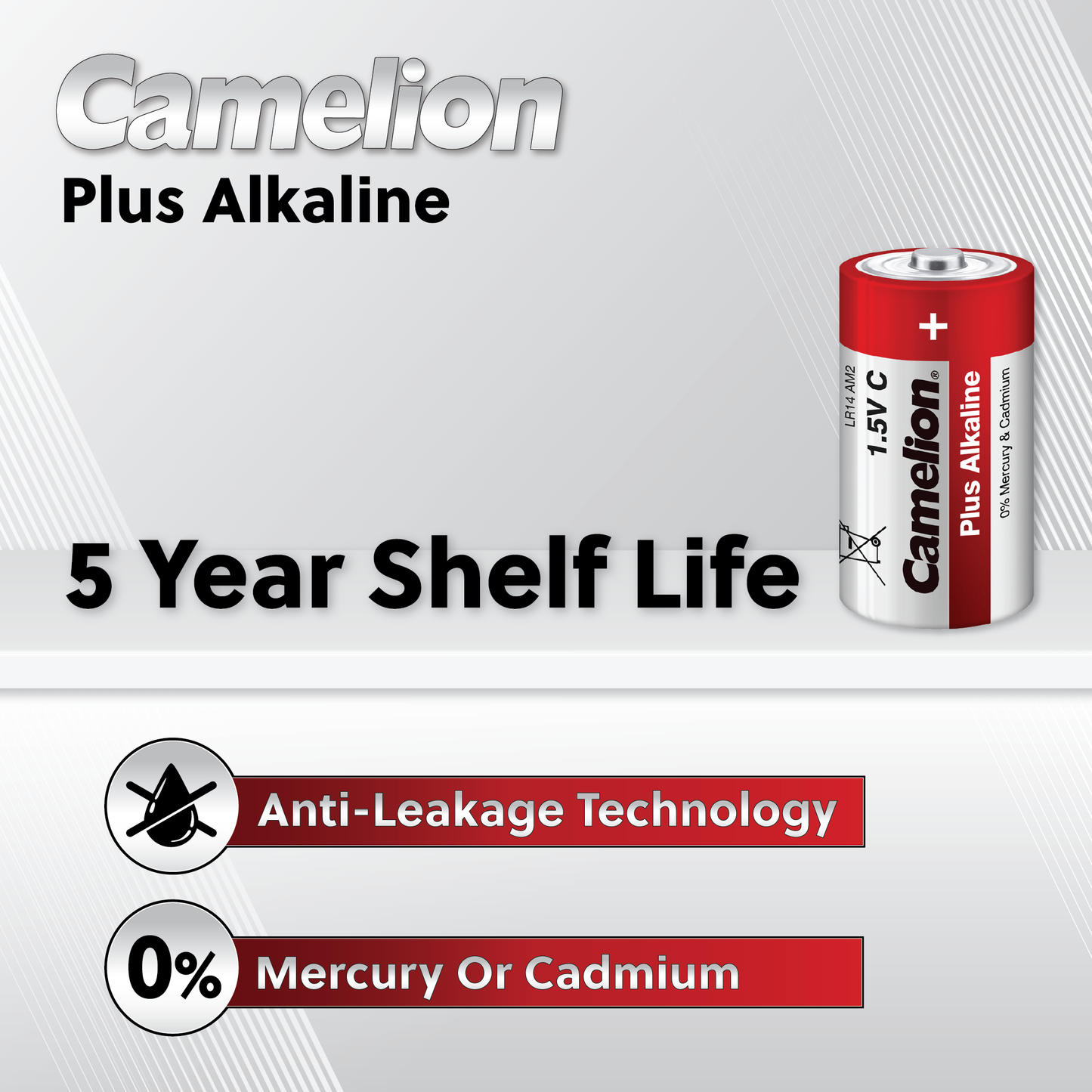 Camelion C Plus Alkaline Plastic Tub of 4
