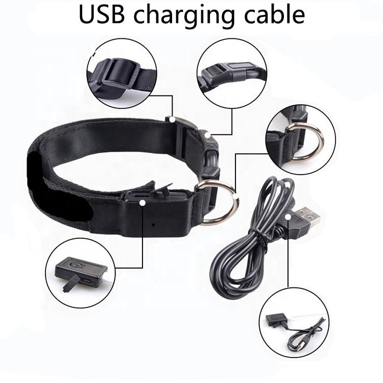 USB RECHARGEABLE LED PET DOG COLLAR - ZYTU