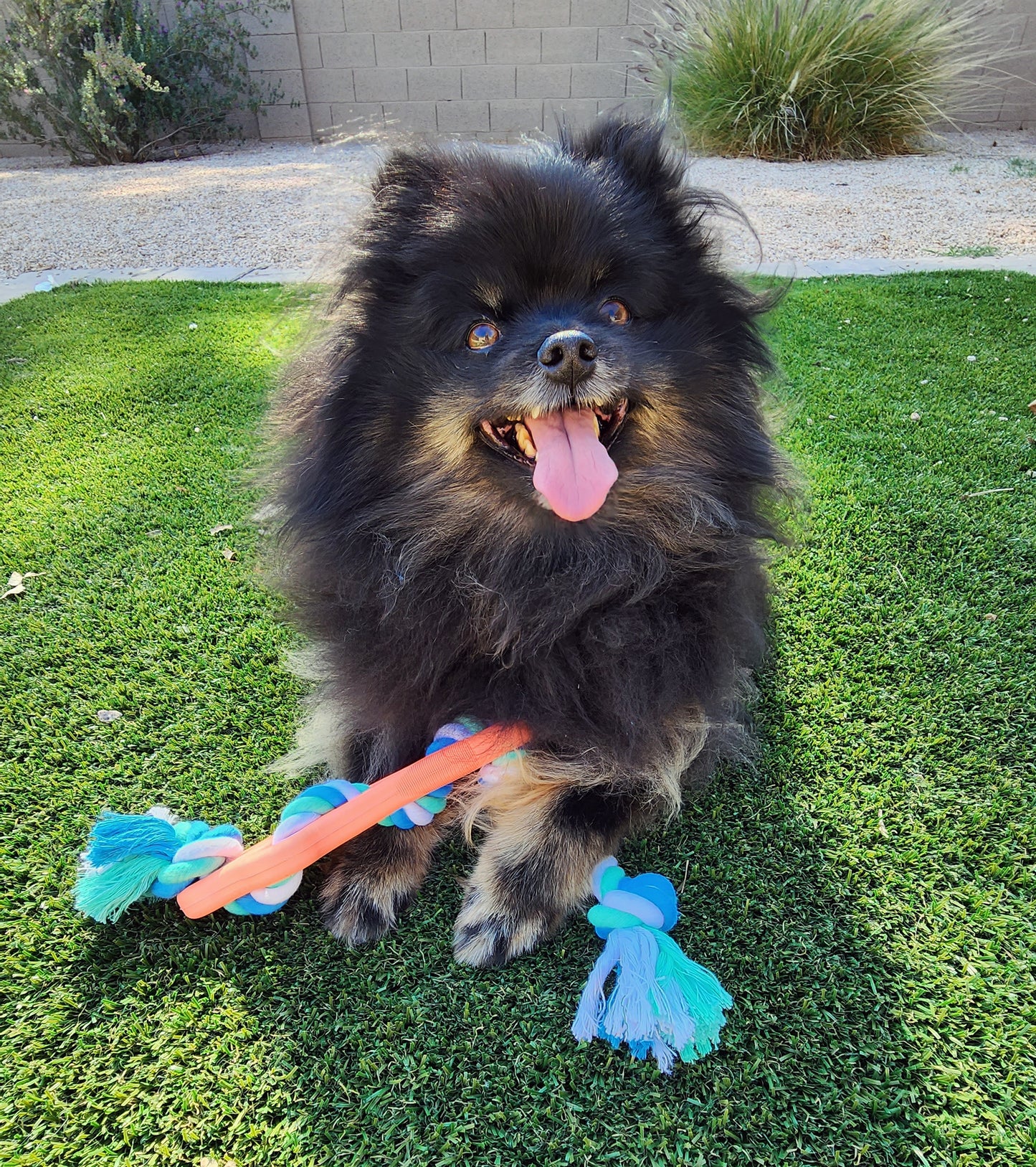 Rubber Bone Dog Chew Toy with Tug Rope -- Great for Active Dogs - ZYTU