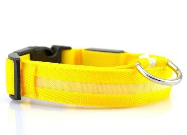 USB RECHARGEABLE LED PET DOG COLLAR - ZYTU